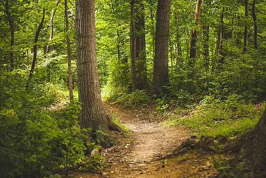 Meditative Wanderung