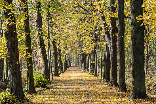 Wanderung mit trauernden Menschen