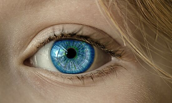 Freie Zeit für Ihre Augen - "Augenspaziergang"