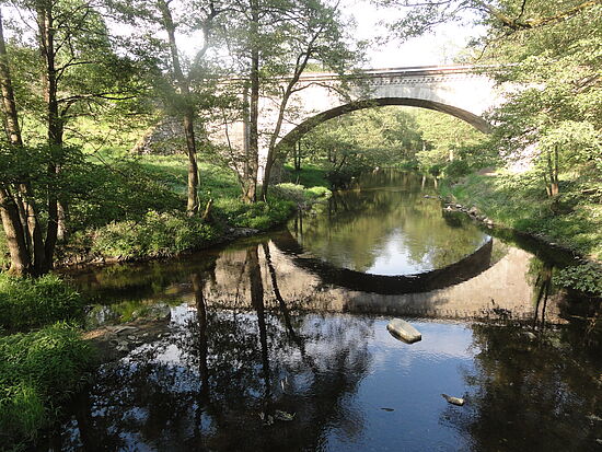 Bewegung in der Natur und Begegnung als Weg-Erfahrung in der Trauer