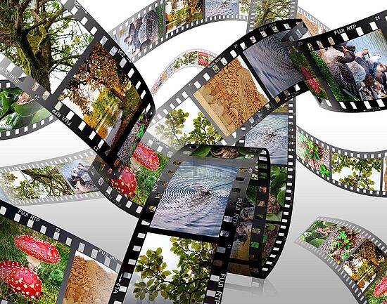 Professionelle Bilder