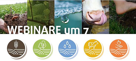 Boden um 7 - 
Unkräuter - Zeigerpflanzen verstehen - Bodenprozesse erkennen