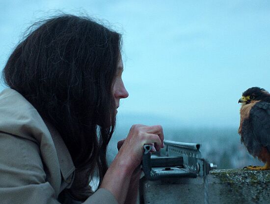 Chaos und Stille (D 2024)