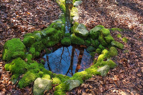 "In die Stille hören" am Starnberger See