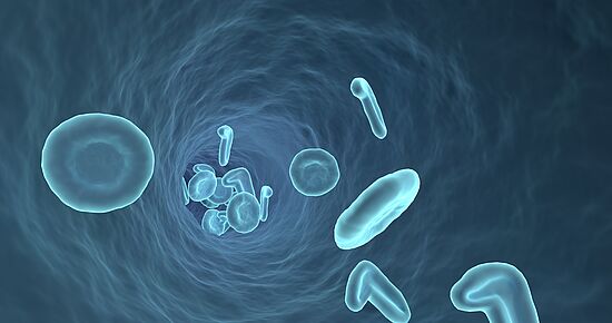Zellgesundheit als Schlüssel zu echter Vitalität