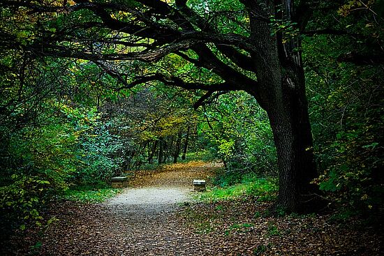 Meditativer Spaziergang