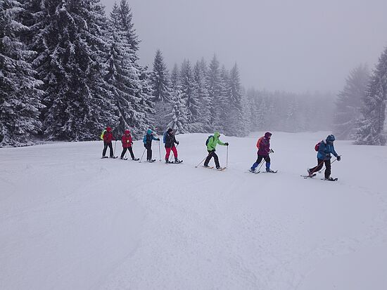 Anleitung zum Schneeschuhwandern: 
Einsteigertour St. Englmar - "Zum Kogl"