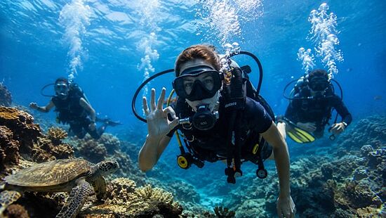 OpenWaterDiver