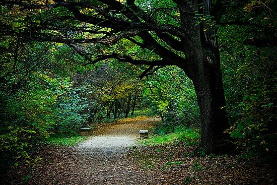 Meditativer Spaziergang