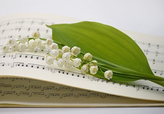 Bayerische Kinderlieder & Co.