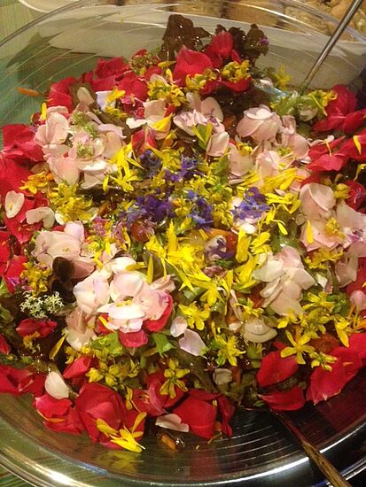 Heilsame Aroma-Küche